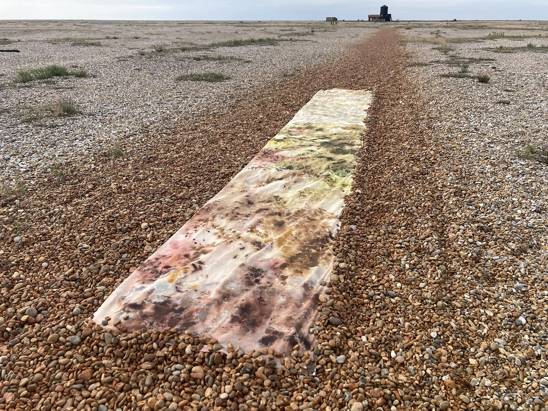 WATT additional image Wingspan 1.JPG