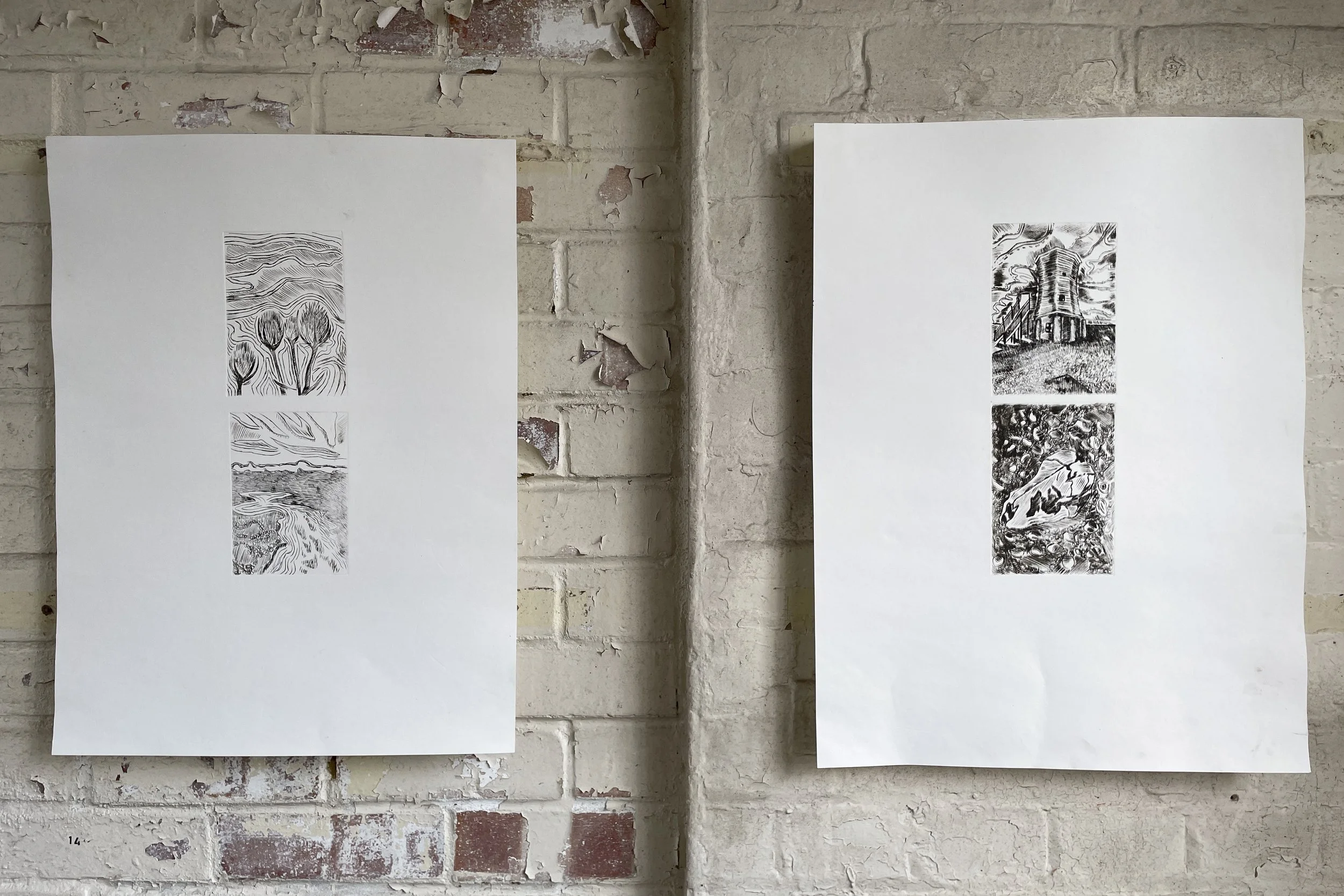 IMG_8587 Ella Chapman.JPG