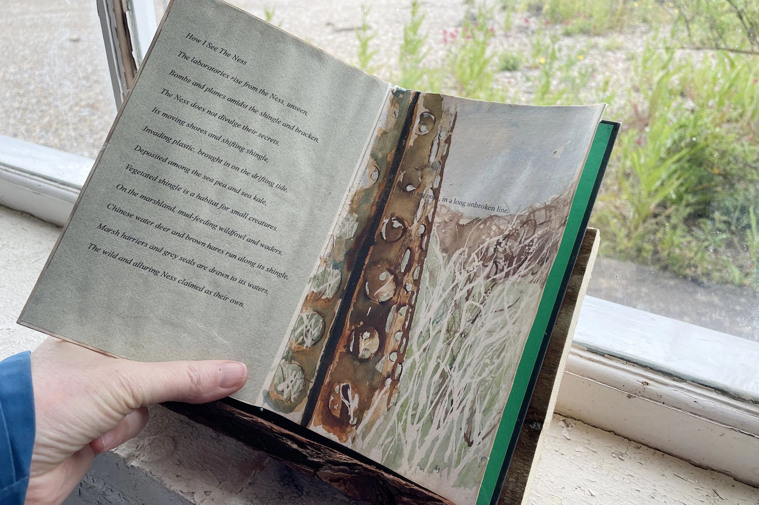 IMG_8688 Diane Legg.JPG