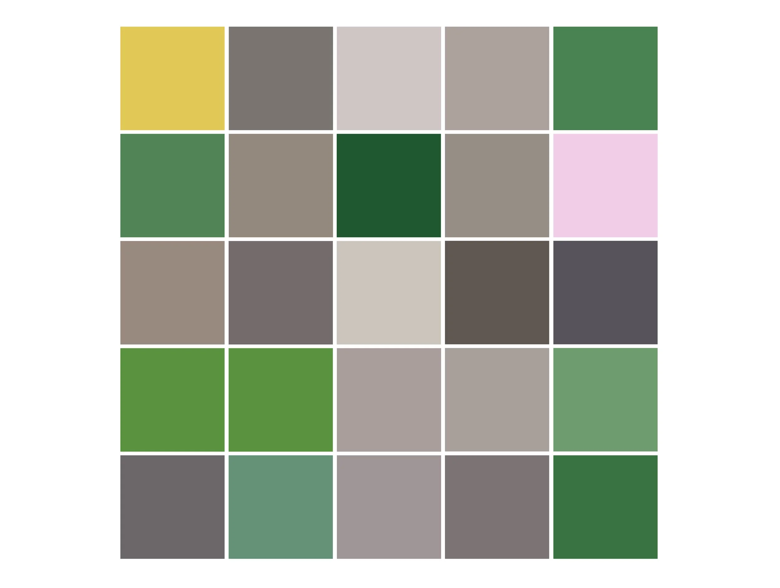 F1 S4 colour spectrum white background.jpg