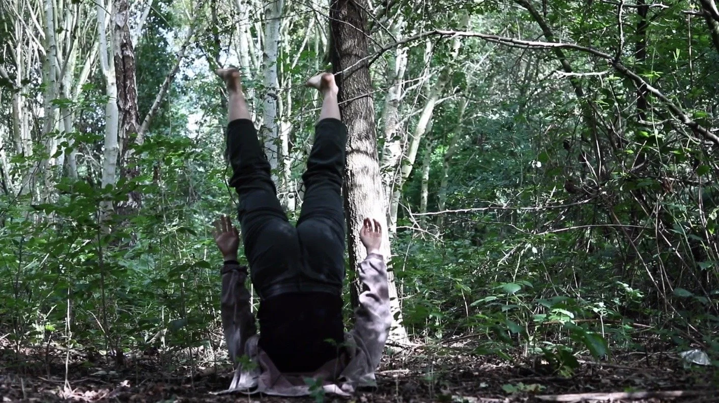 A Whisper in the Order of Things