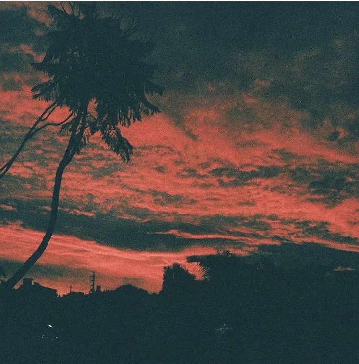 If it goes - Malena Zavala