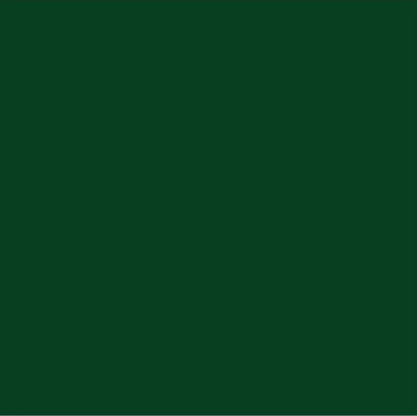 Vert forêt.jpg