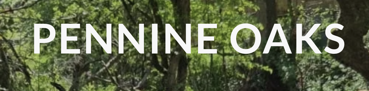 Pennine Oaks