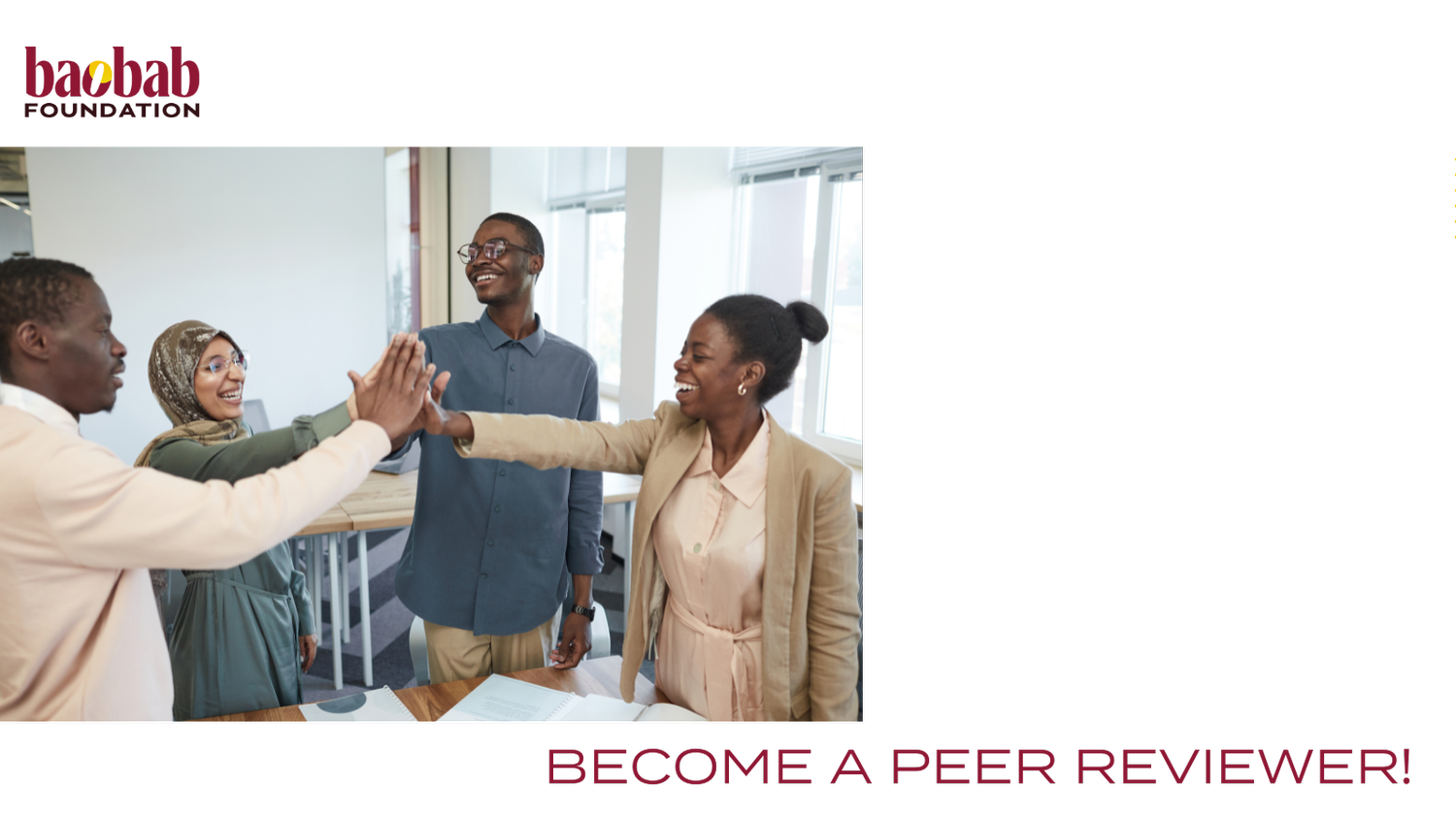 CALLOUT Peer Reviewers — Baobab Foundation