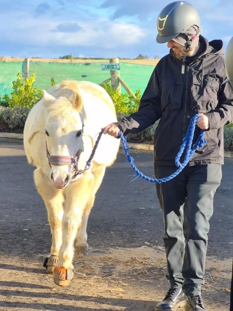 🐎 Horse care employability group at @muirfieldridingtherapy 🐎

Good luck to everyone doing their Level 1 and Level 2 Horse Care tests today! 

#EducationAndEmployability #Qualifications #HorseCare