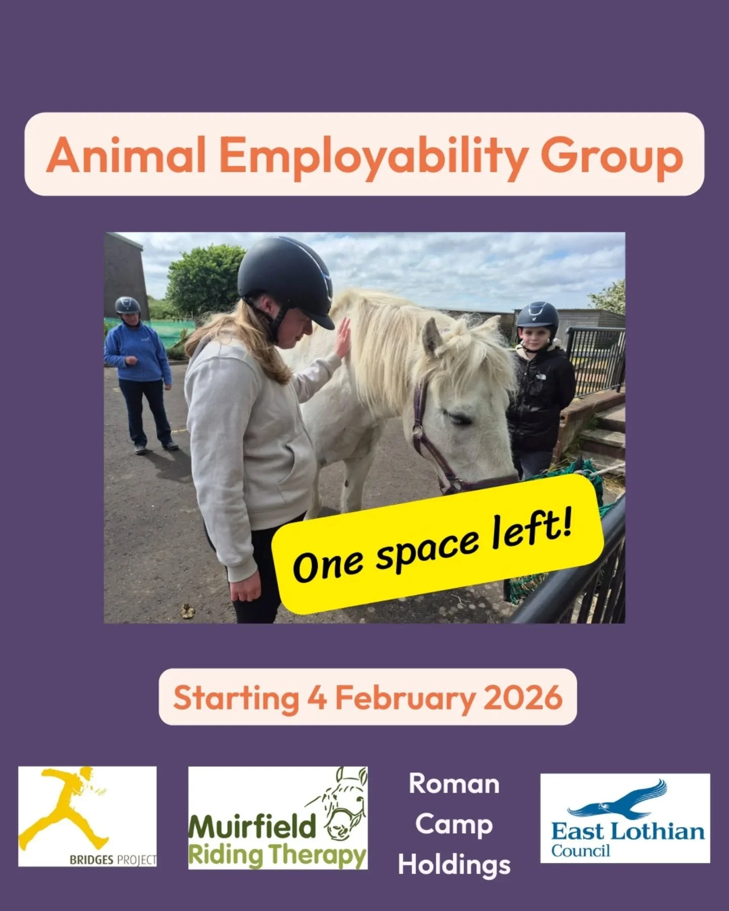 🙋🏻&zwj;♂️ Interested in working with animals?

🚨 We have a new Animal Employability Group starting TOMORROW and still have one space left! 

📆 Delivered over 8 weeks (possible to start in Week 2 too ☺️)

🐎 Loads of practical learning with animal