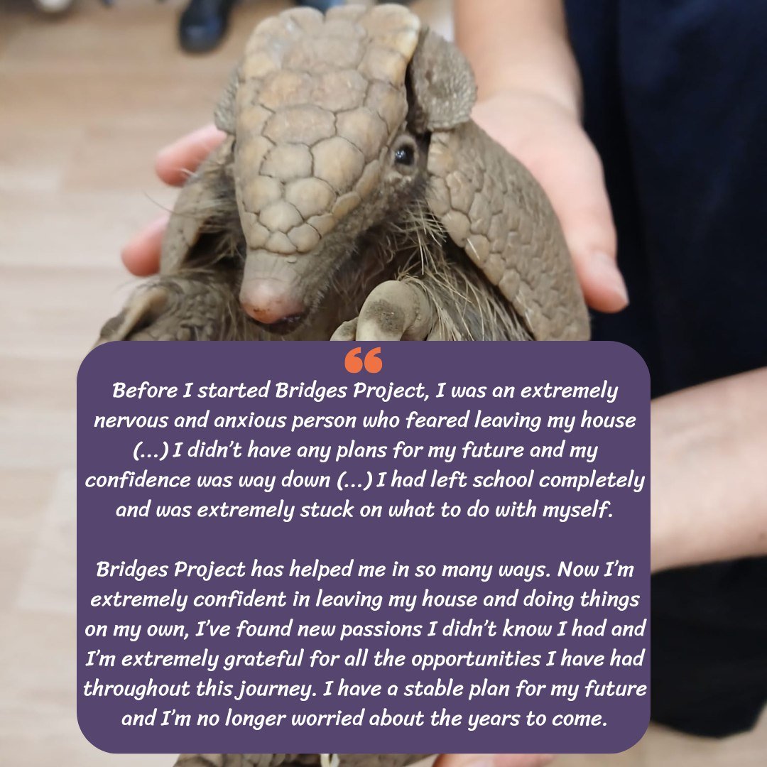 One of our young people just bagged a job with @petsathomeuk and said this about Bridges🌟

She got the job after completing one of the animal employability groups run by our Spark Your Future programme! 

#NewJob #Stories #MakingADifference