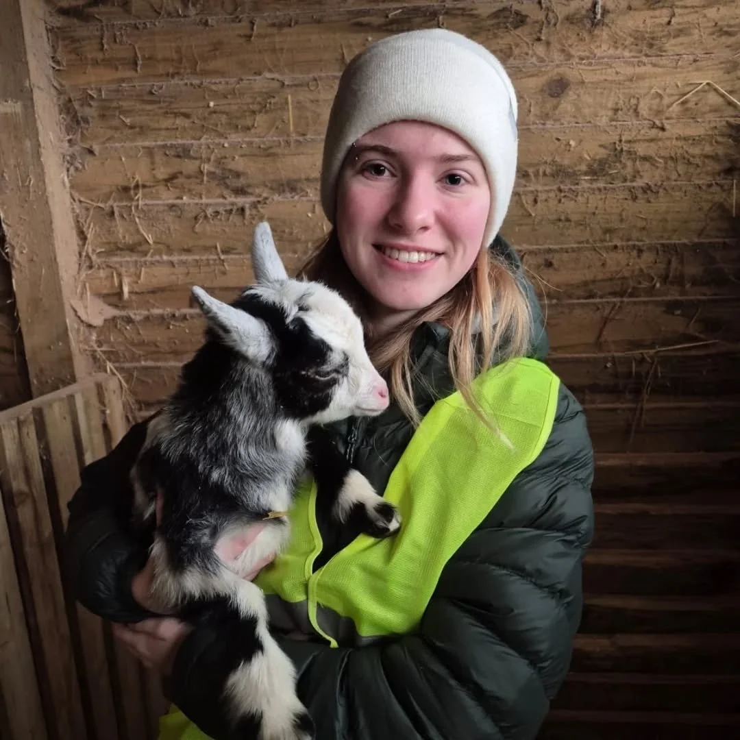 🐐 Animal Employability Group 🐐

#Animals #AnimalCareers #Employability