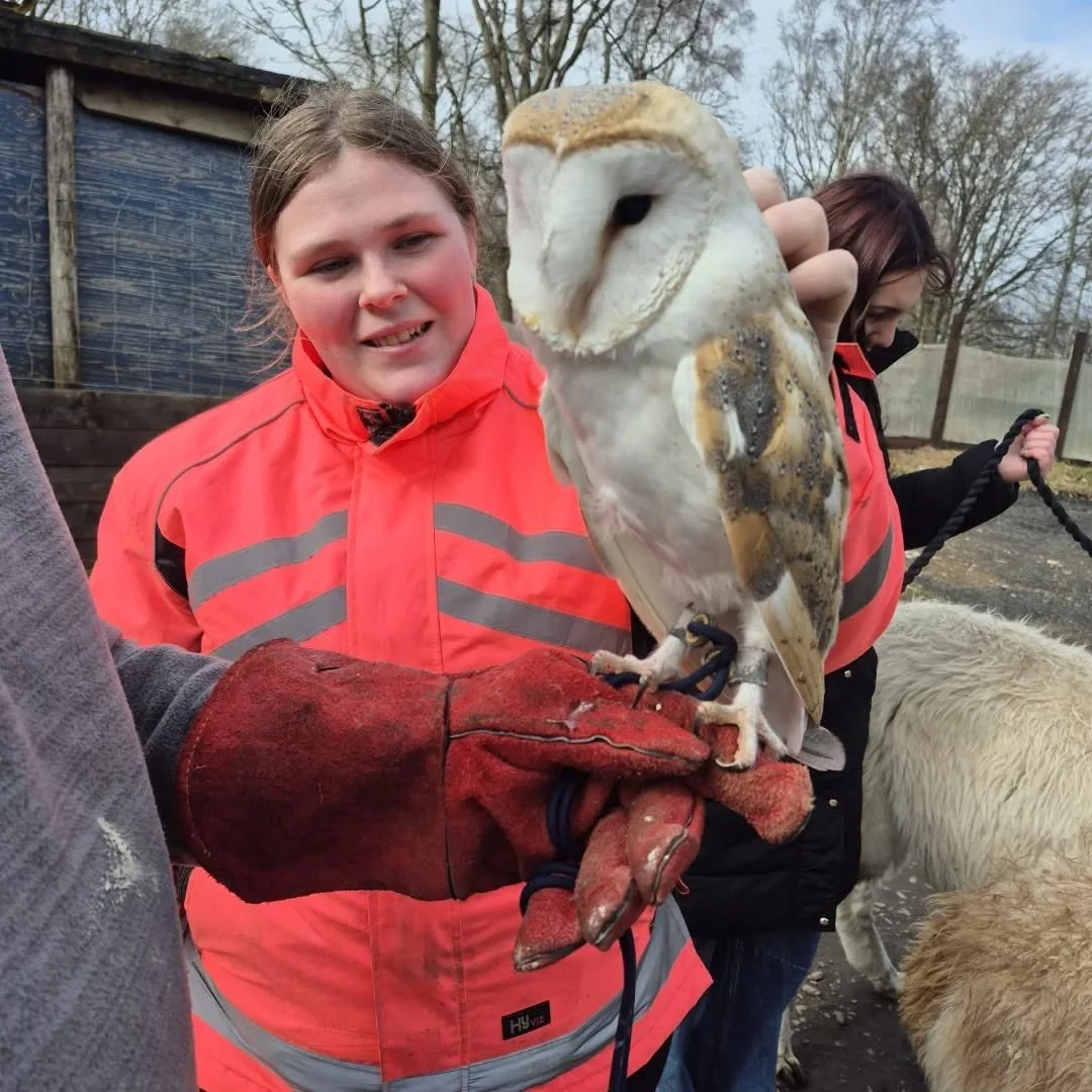 Making new friends in Animal Employability Group 🦉

This was this group's last session at Roman Camp Holdings 🥲

Thanks for having us!

#Animals #Employability #Groups