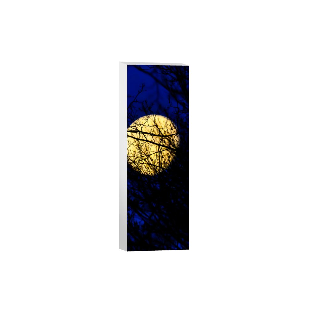 ptq_7_2_1245_0_2495_7485_0_false_ffffff_0_0_.png
