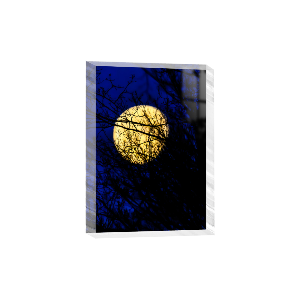 ptq_300_7_0_252_4986_6980_0_false_ffffff_0_0_.png