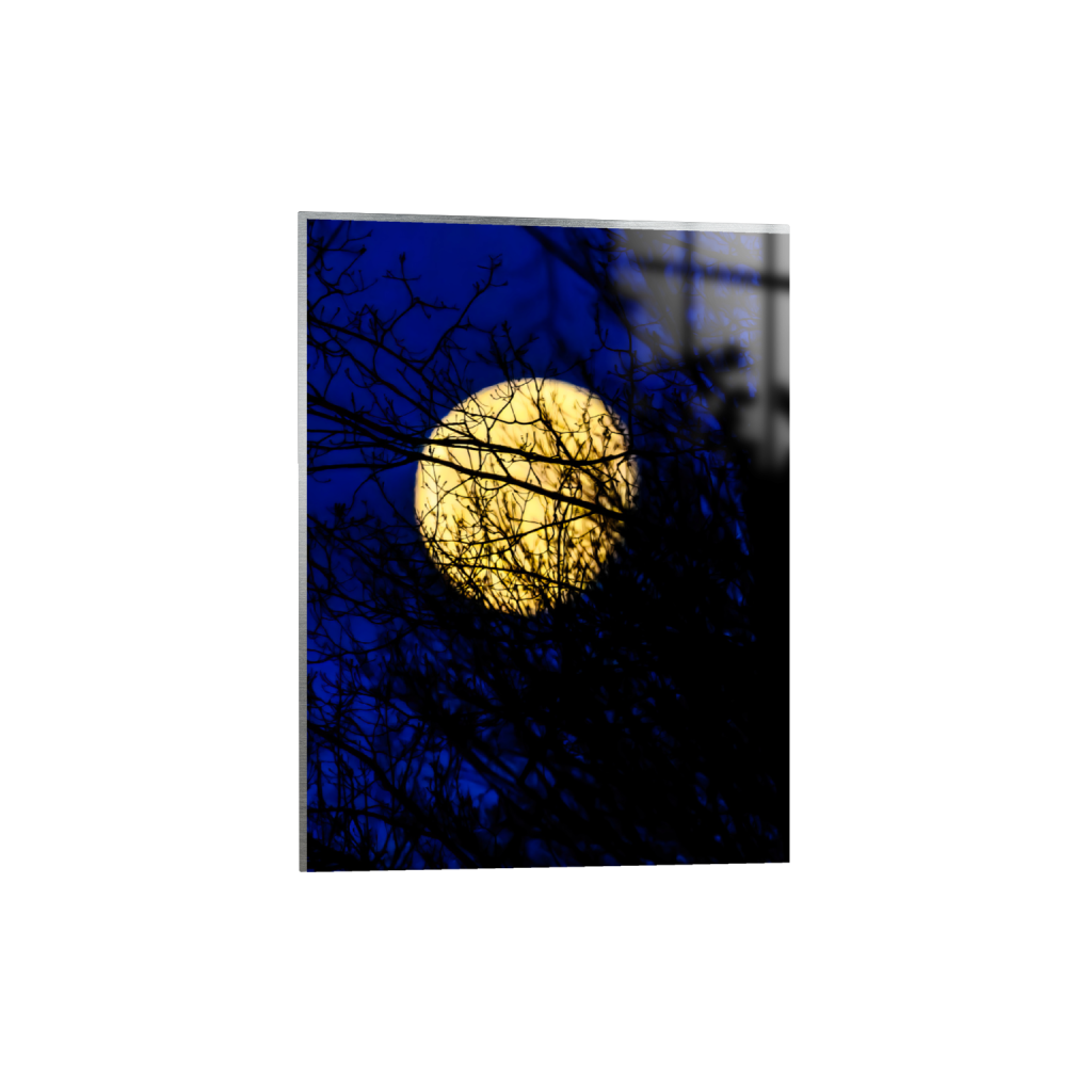 ptq_13_5_0_418_4986_6648_0_false_ffffff_0_0_.png
