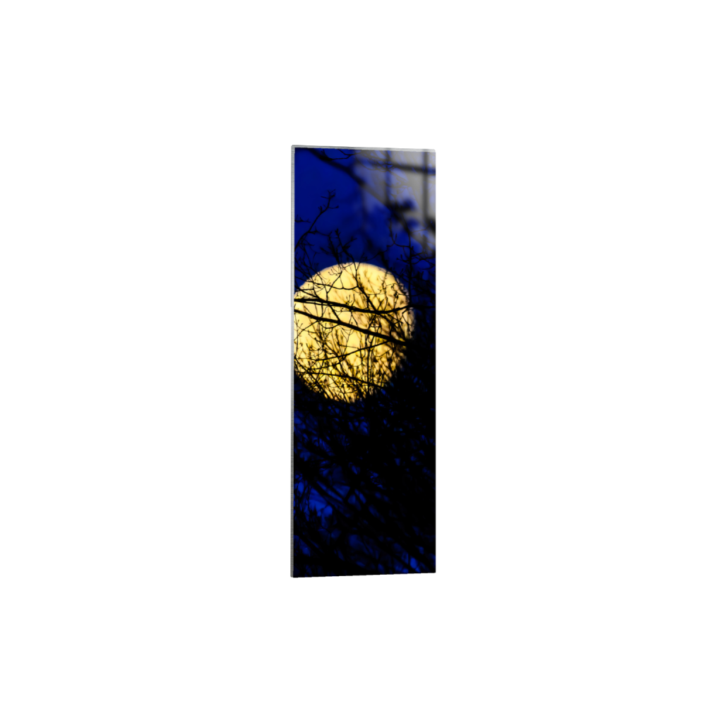 ptq_13_2_1245_0_2495_7485_0_false_ffffff_0_0_.png