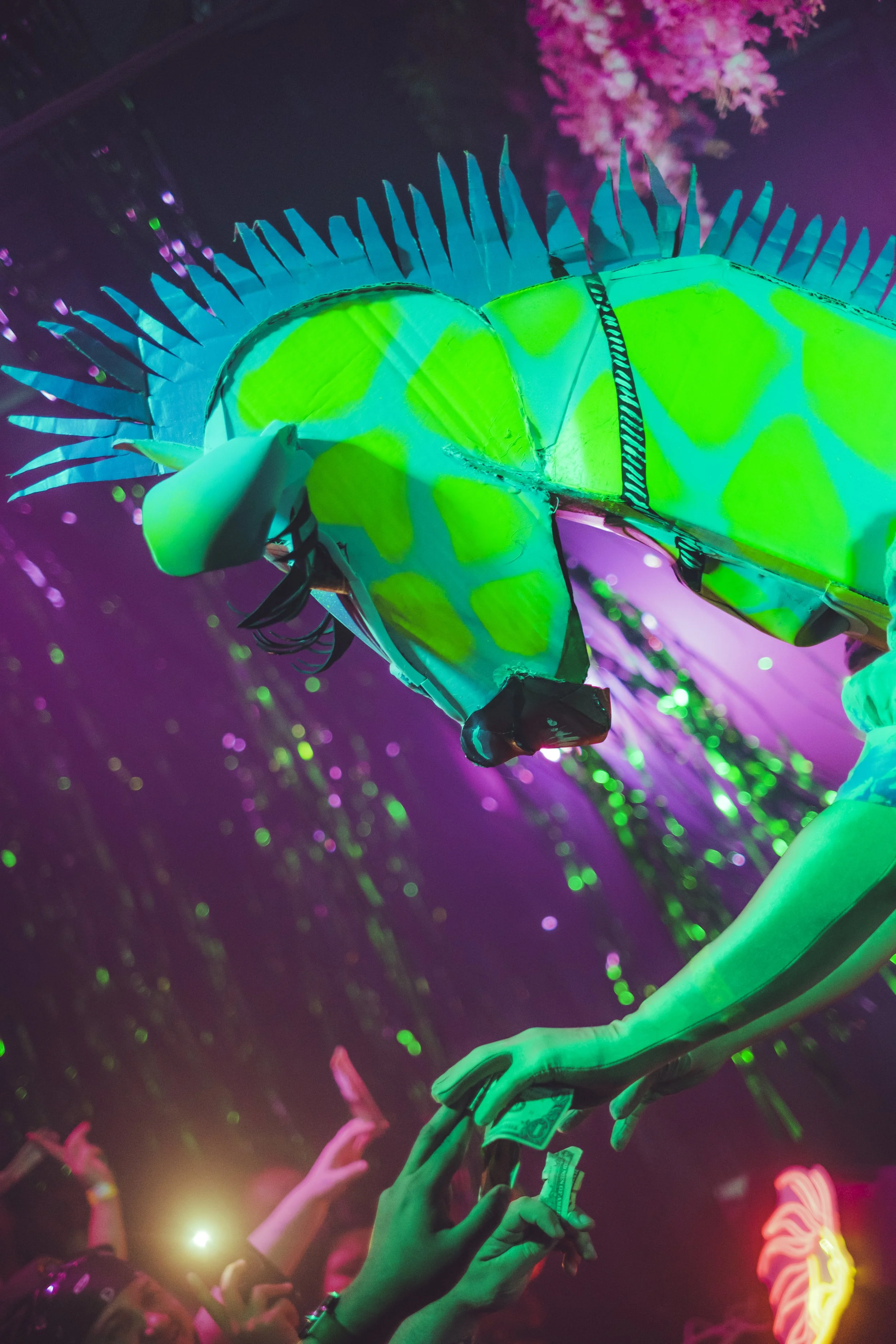 zoopride_-075.jpg