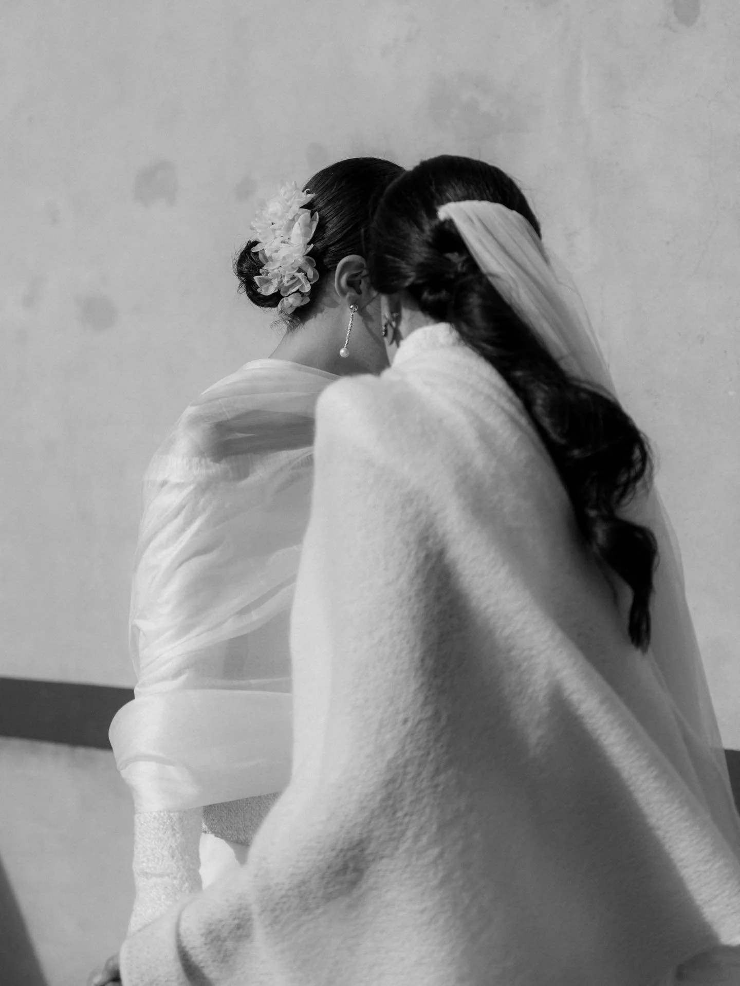 A | A
Palacio de la Riega, 2026