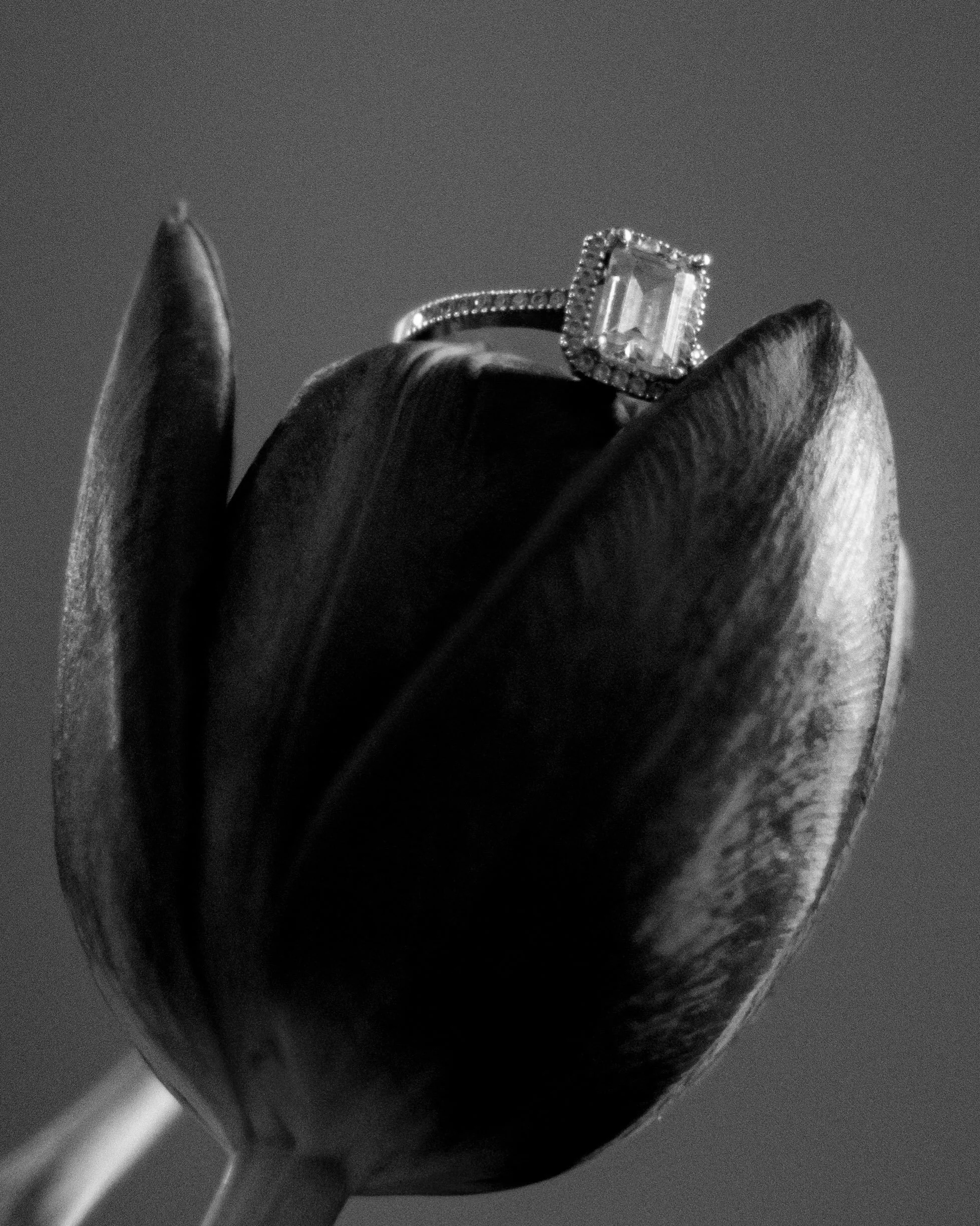 Lo que disfrutamos haciendo estos bodegones con vuestros anillos de pedida 🖤