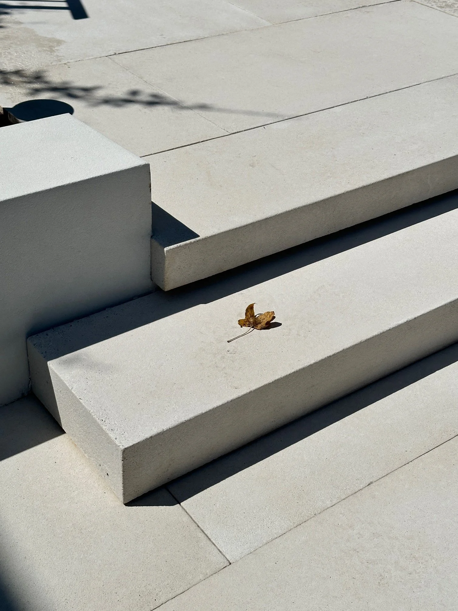10 Front Slab Stairs Closeup CH.JPG