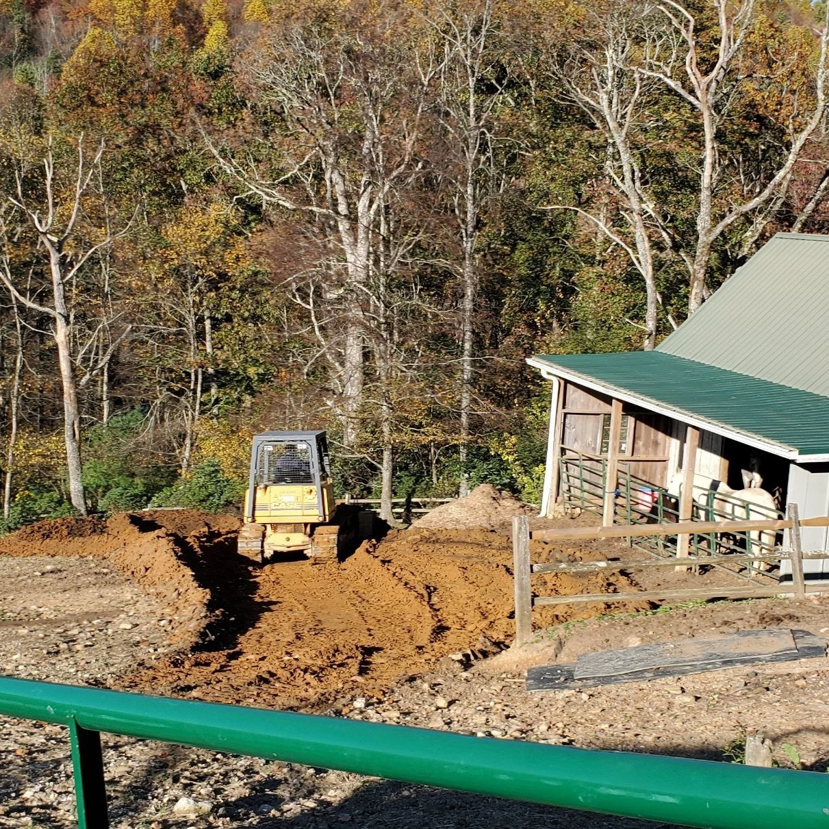 Exciting News: The Ginny Burton Horse Rescue Barn is Underway!

Thanks to a generous gift, we&rsquo;re thrilled to share that the Ginny Burton Horse Rescue Barn is officially in progress! Construction has begun, led by Seth Osborne and Ben Cheek of S