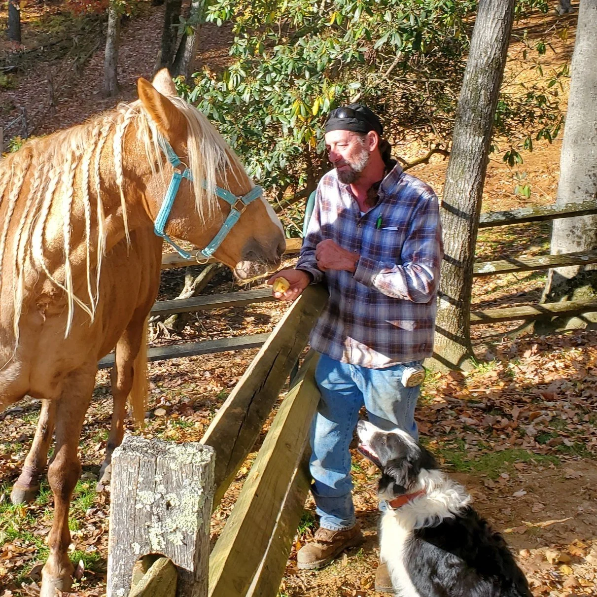 Piper testing out the new isolation area with Jay Alexander of JC Greene Rail Fencing in Deep Gap, NC &mdash; the craftsman behind its build. This special space was created for times when a horse needs a quiet place to rest and recover during treatme