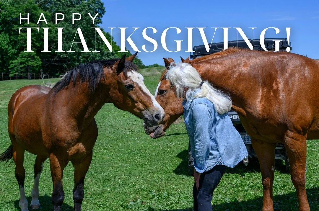 Happy Thanksgiving from all of us at Southern Sun Farm Sanctuary! Today, we&rsquo;re especially grateful for our amazing volunteers, generous donors, and the chance to care for horses in need. Your support helps us give every horse a second chance at