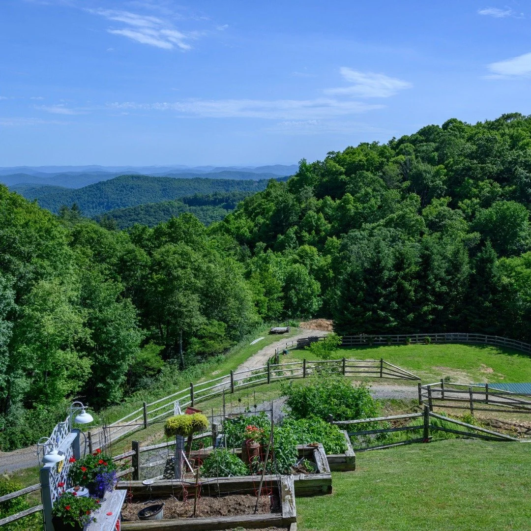 Reminiscing on those warm, sunny days on the farm as we prepare for winter&hellip; which means more hay, more care, and more love for our horses. 🐴  If you&rsquo;d like to help support our mission, visit our website at southernsunfarm.com and join u