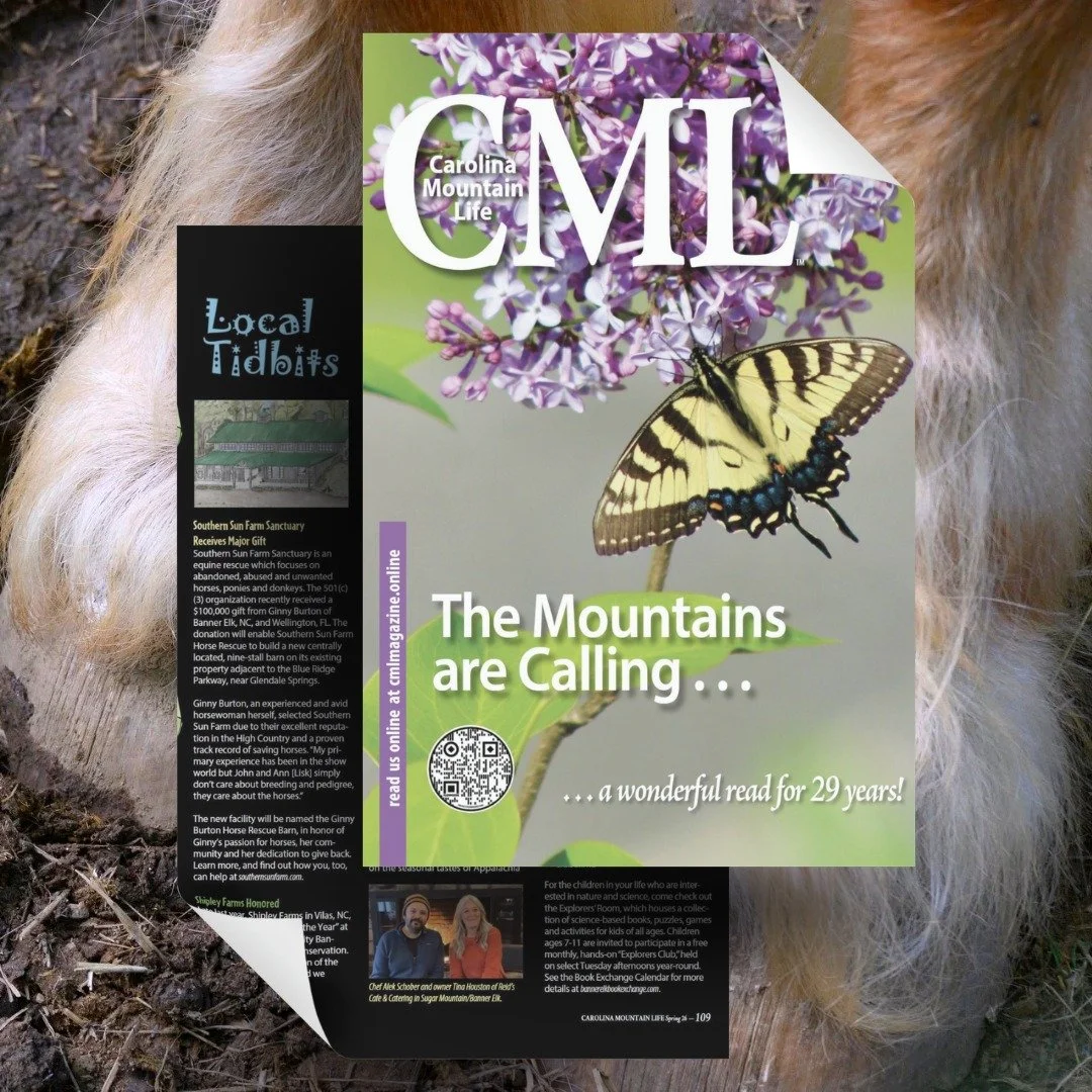 A Gift of Hope

Southern Sun Farm Sanctuary is grateful for Ginny Burton&rsquo;s generous donation, recently featured in Carolina Mountain Life Magazine. Her support is helping create the Ginny Burton Horse Rescue Barn, providing a safe haven for res