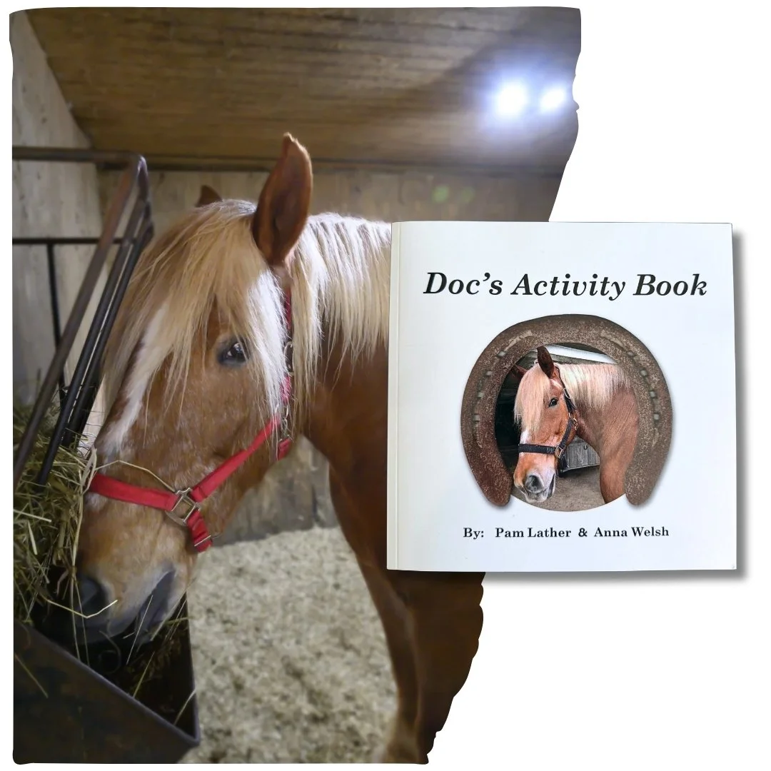 Doc's New Activity Book for Kids, Fun, Learning, and Supporting Rescue Animals