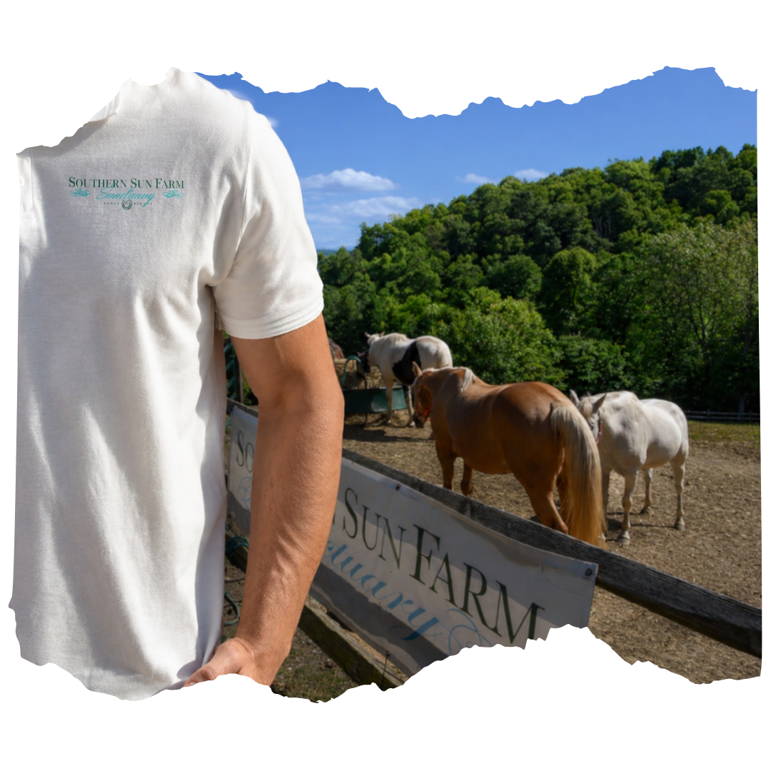 Celebrate Independence Day with Our New Sanctuary Merchandise
