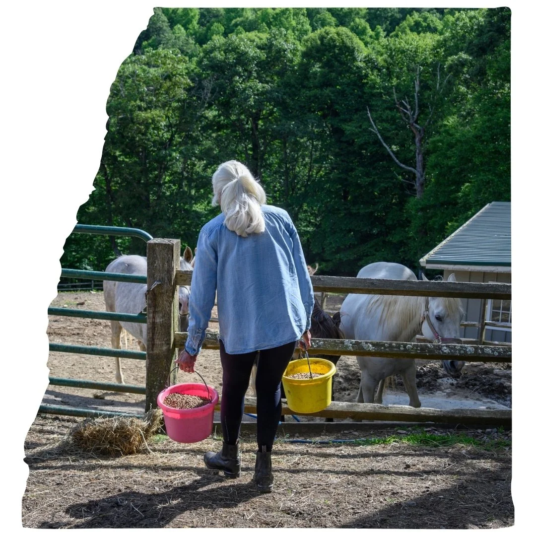 National Nonprofit Day: The Heart Behind Southern Sun Farm Sanctuary