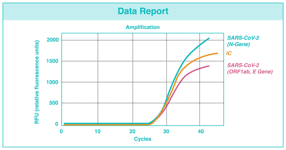 Extractionless Covid Test Covid Direct Test Covid 19 Assay — NTL Biotech