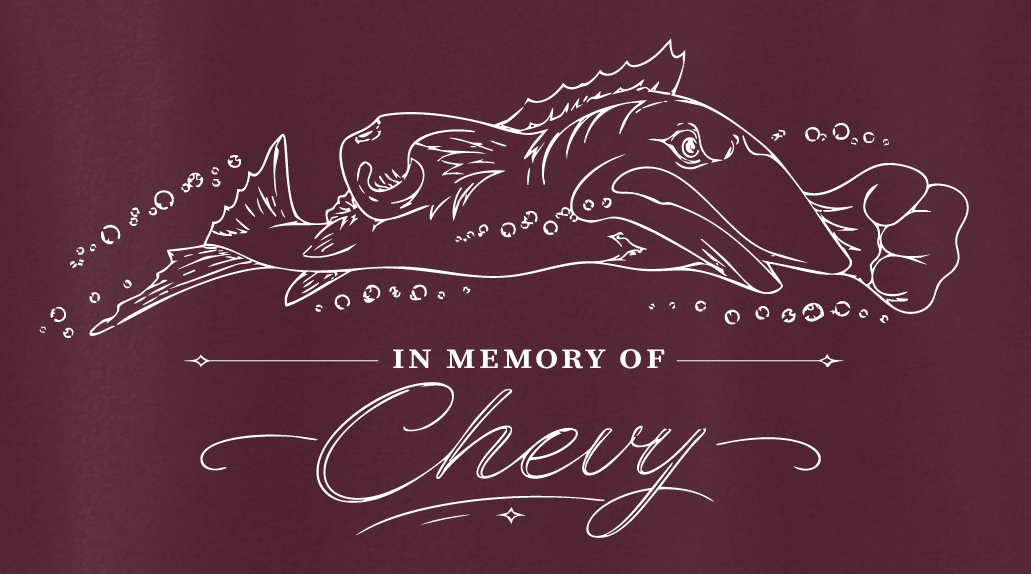 image - 2026-06-02T171300.590.png