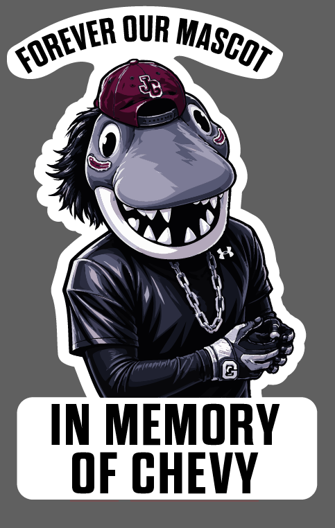 image - 2026-06-02T174826.220.png
