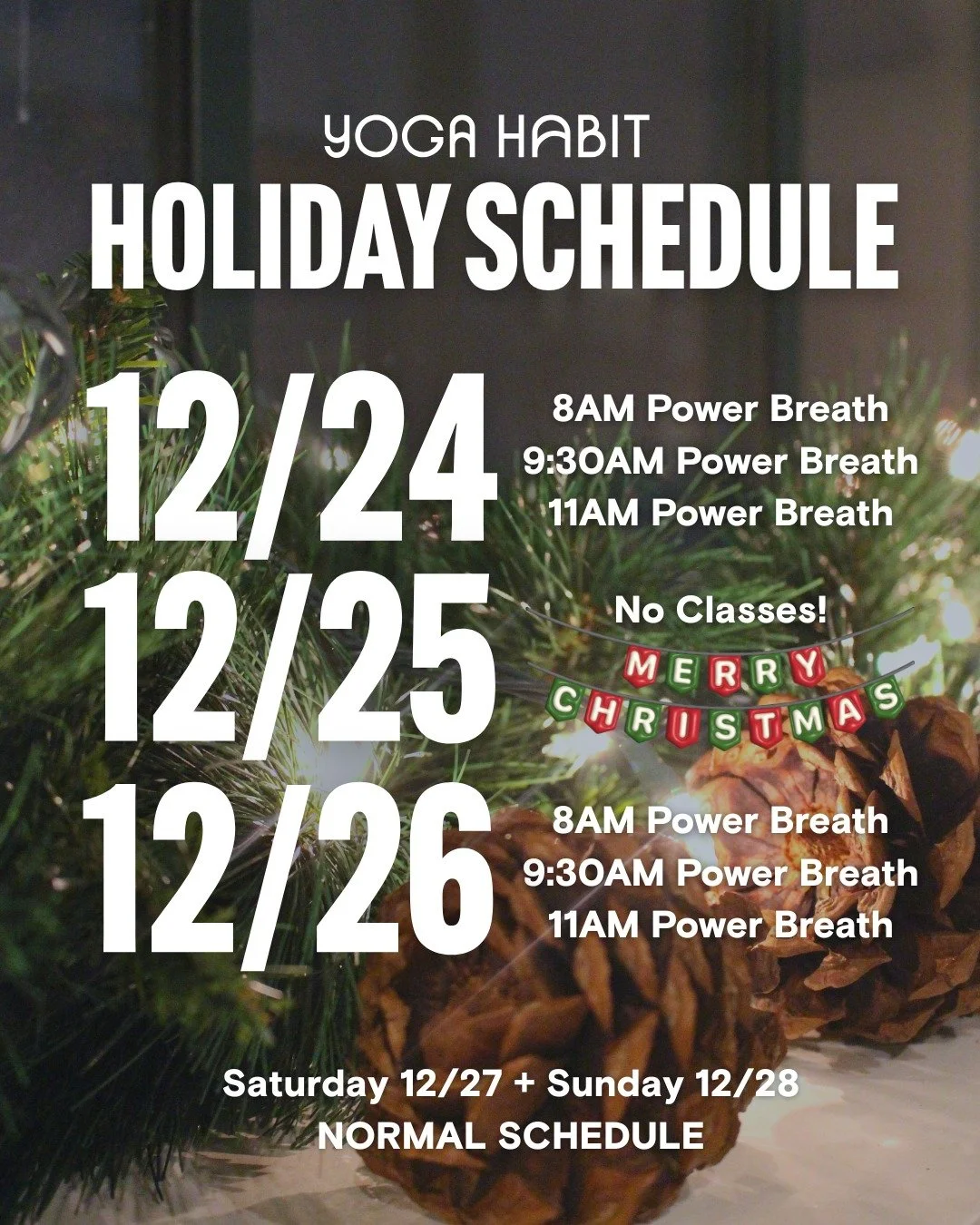 Holiday Schedule Update ❄️ 

Head to Momence or the link in our bio to schedule your time on the mat. We can&rsquo;t wait to practice with you this season 🤍