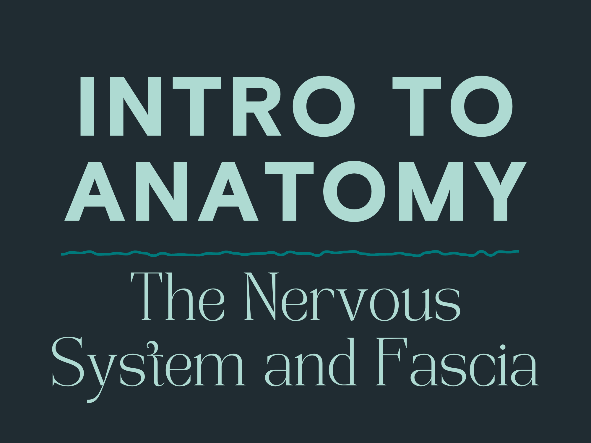 Intro to Anatomy: The Nervous System and Fascia