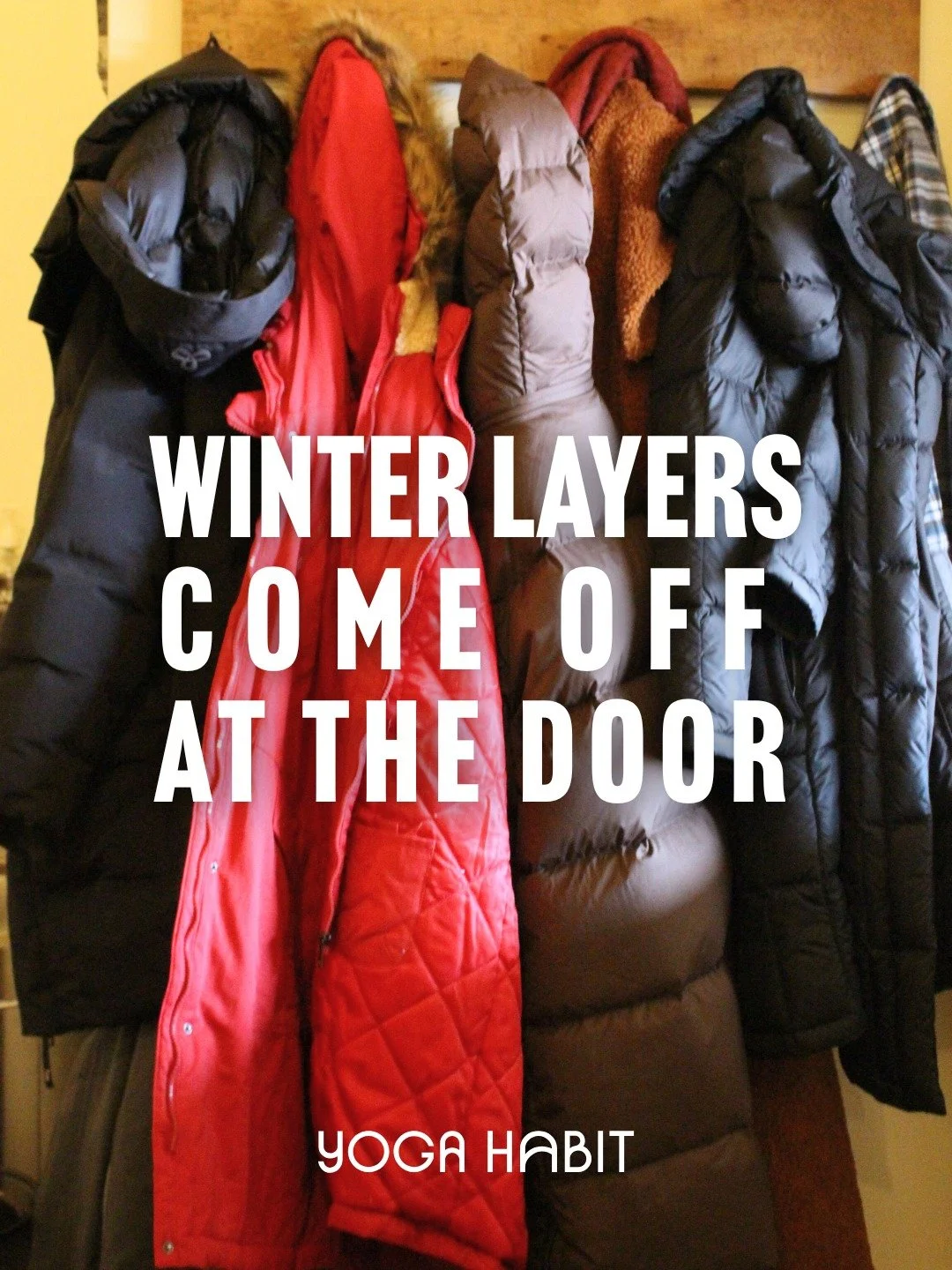 Less to carry. More space to breathe.

Free mat storage is just one of the many perks of being an All In! member.

Explore all the perks on our website and sign up for unlimited yoga today ✨