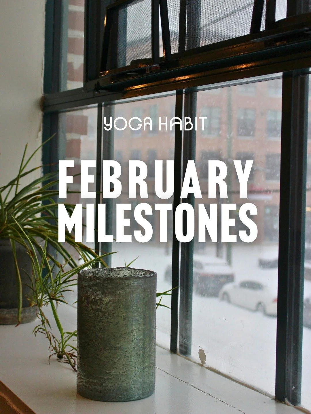 February Milestones 💖 

Congratulations to all of our members who crushed milestones in February!

From first classes to big milestones, every check-in counts, and we love seeing you build consistency month after month!

✨ What milestone are you wor