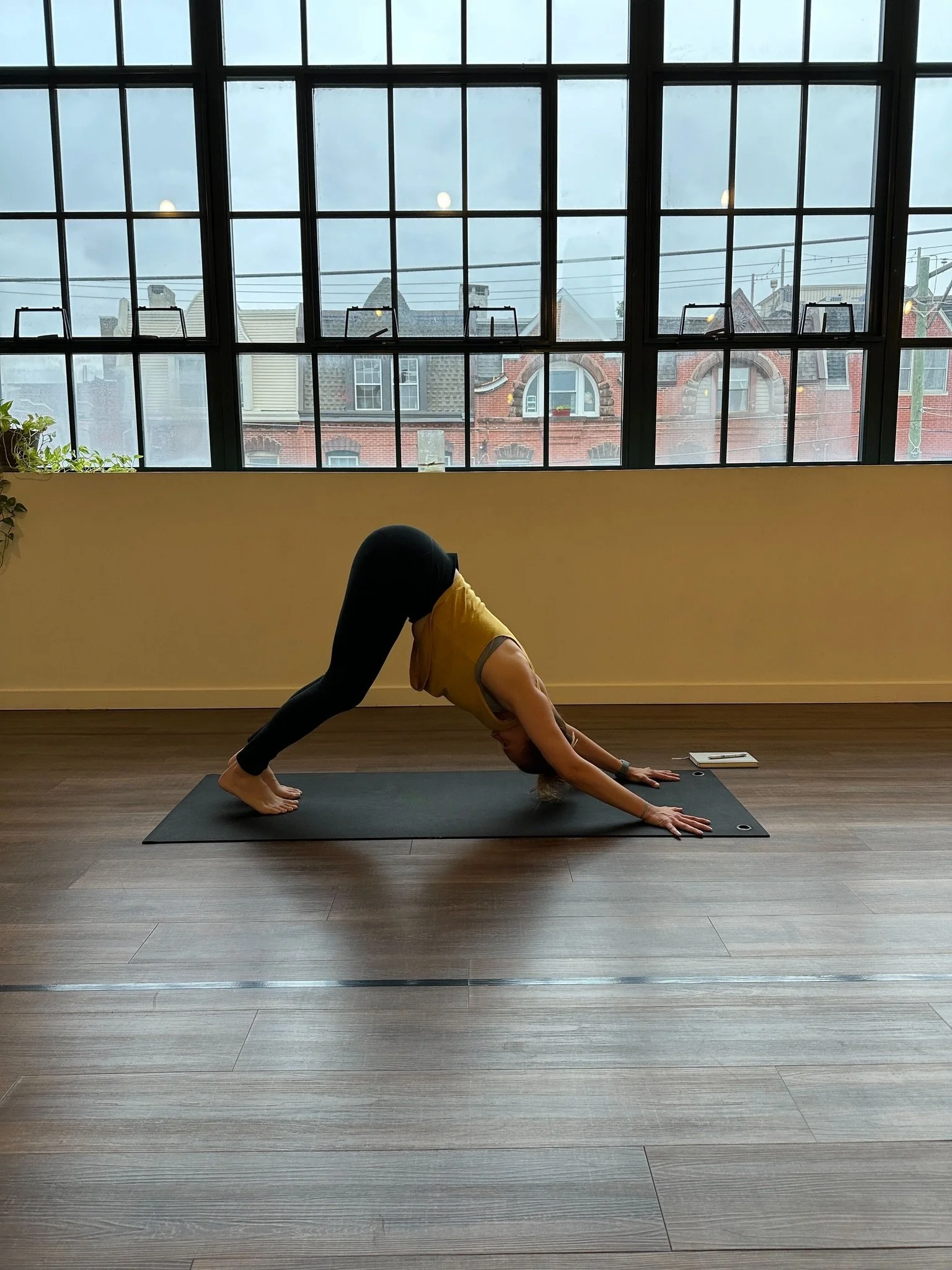 Teaching Yoga to Beginners