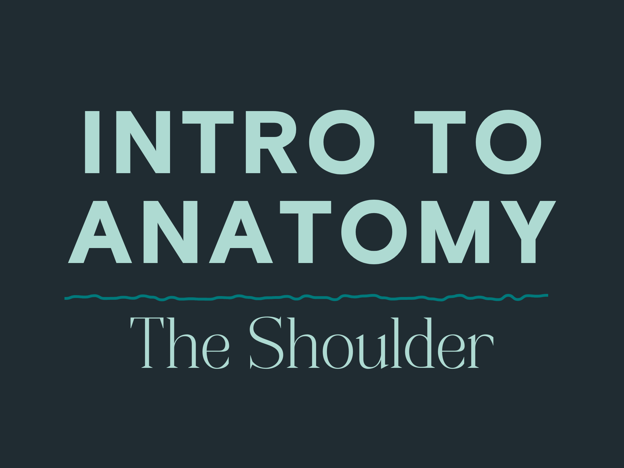 Intro to Anatomy: The SHOULDER