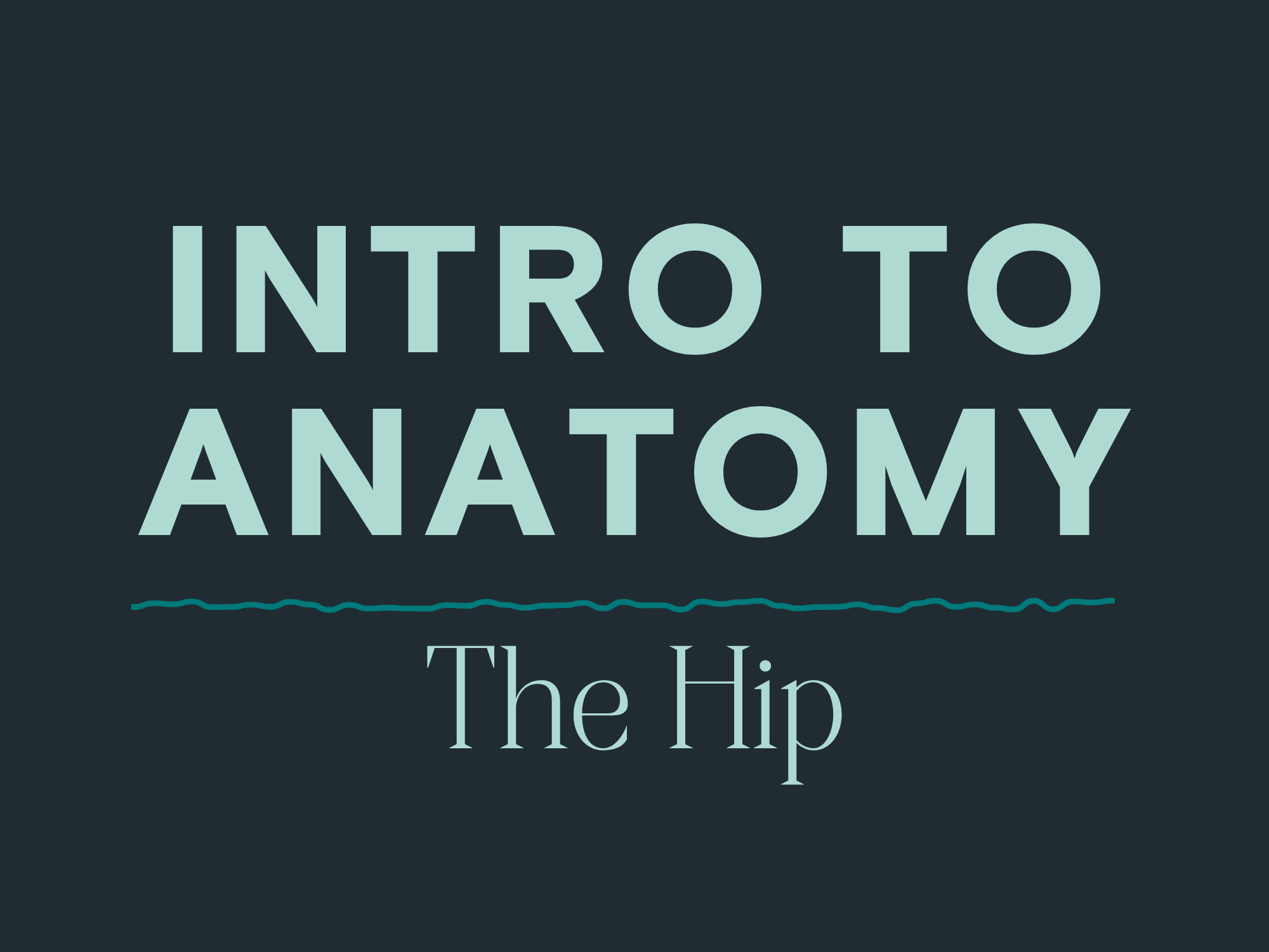 Intro to Anatomy: The Hip