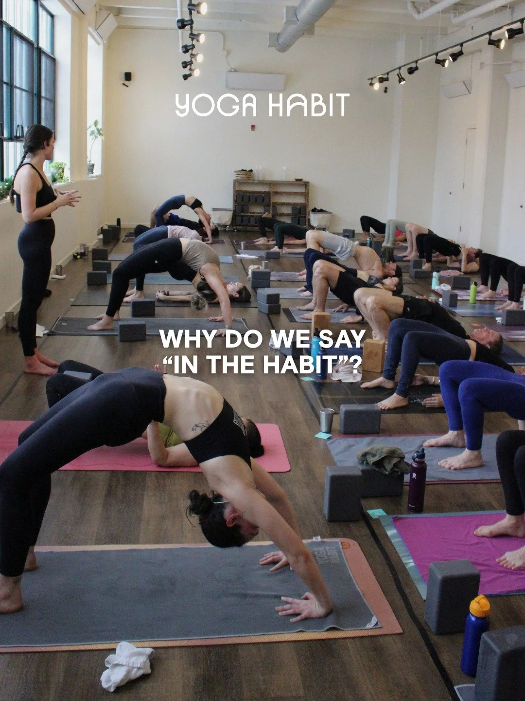 We're called Yoga Habit for a reason...

Because progress comes from consistency. No matter where you&rsquo;re starting, just begin.

Get in the Habit today with our 2 weeks for $59 Intro Offer ✨ Link in bio.