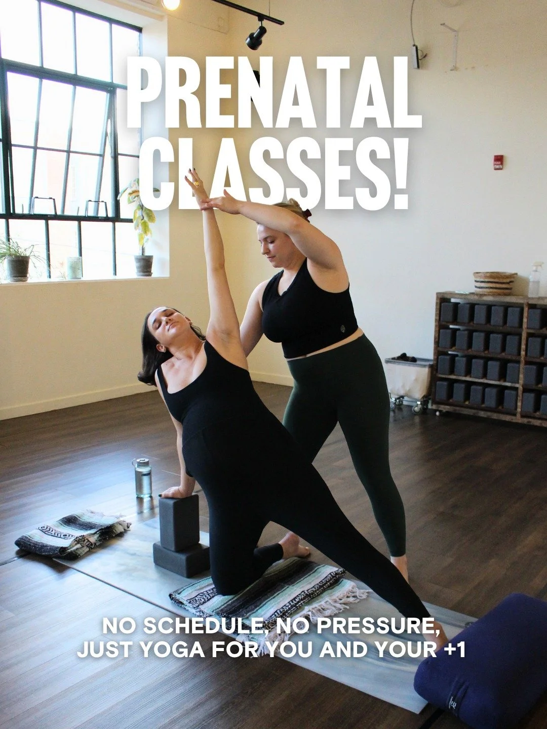 Now Available: Prenatal On-Demand Classes led by @natalie.flows, a Registered Prenatal Yoga Teacher.

Designed to support you through every stage of pregnancy with intentional, feel-good movement you can trust.

All In + Side Habit members get unlimi