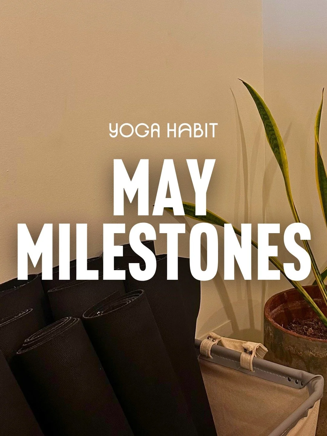 May Milestones 🌟

A huge shoutout to our members who reached milestones this month! Every practice and every moment spent on your mat adds up. We're so grateful to have you flowing, growing, and showing up with us each step of the way.

Close to a m
