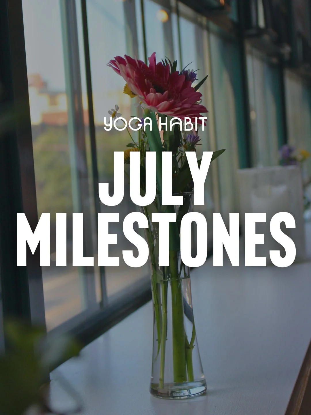 Another month down, another group of incredible members to celebrate! 

Congratulations to everyone that hit a milestone this month. Here's to the next class and the next goal!

Working toward a milestone of your own? Tell us how many classes you're 
