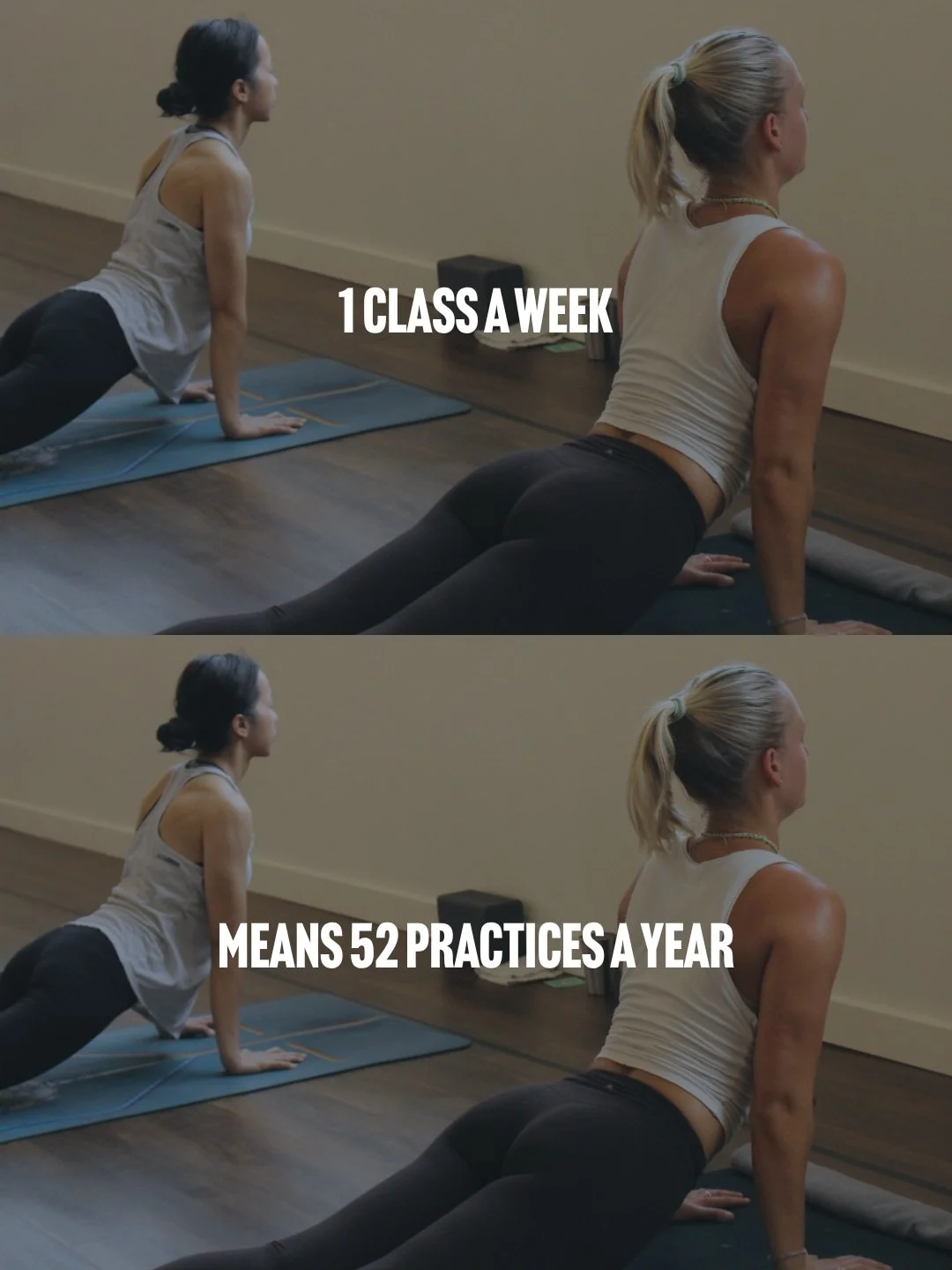 Small choices, big results.

Whether you&rsquo;re coming in daily or just once a week, YOU are investing in YOU, and we're so glad to be part of it.

Get In The Habit with us. New students get 2 weeks for $59 at the link in our bio 🩵