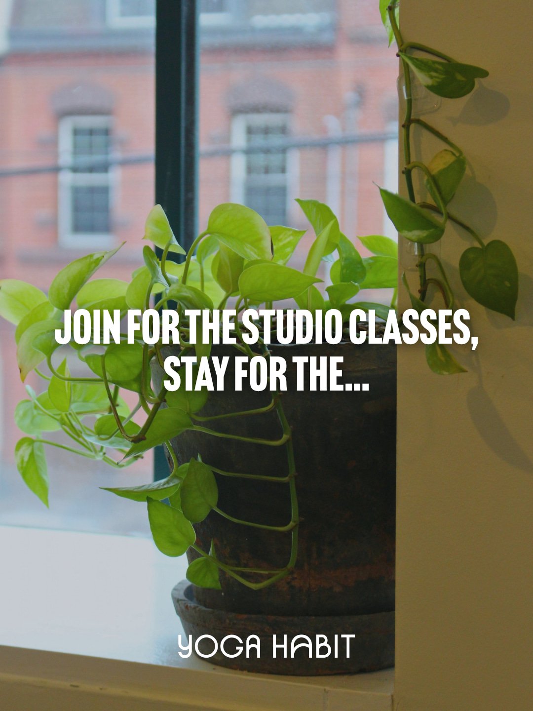 Your membership comes with more than just classes and in-studio perks.

Learn about all of our membership perks at the link in our bio and experience them for yourself with 2 weeks of unlimited yoga for $59!