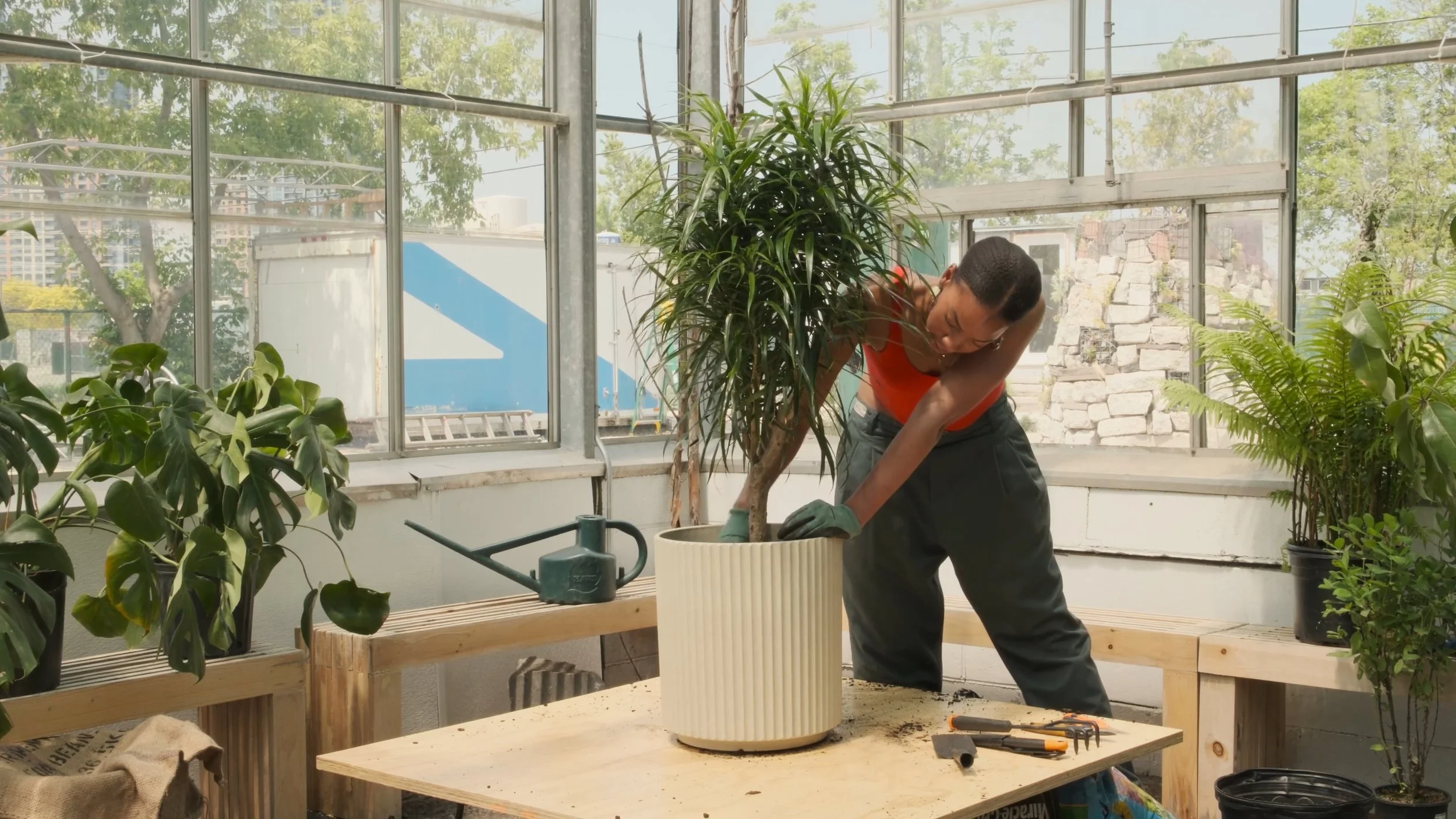 DIY Plant Arrangement - Fore