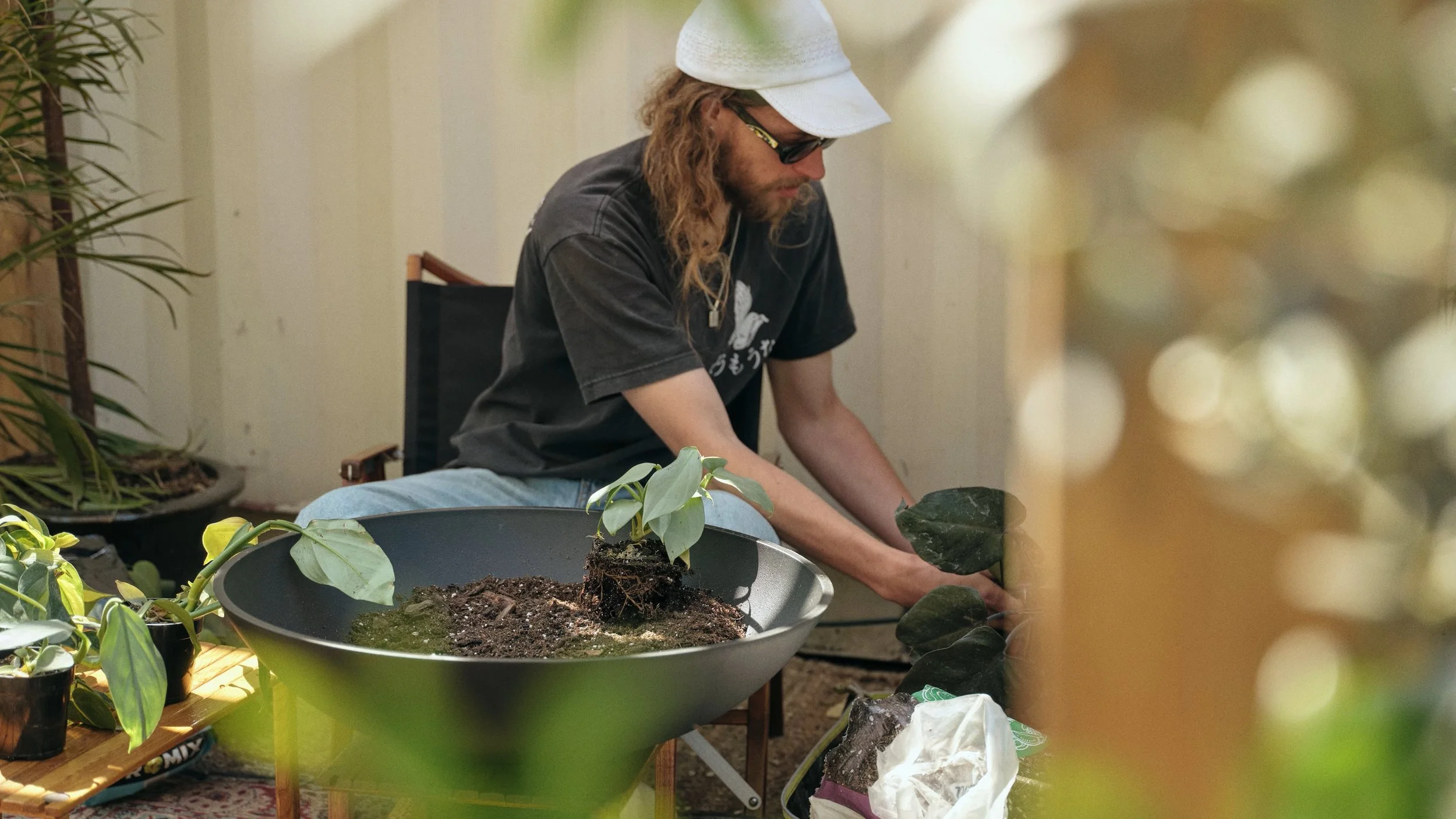 DIY Plant Arrangement - Promise Supply