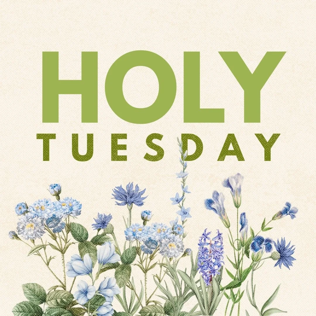 In the morning they saw the withered fig tree that Jesus had cursed the day before. The fig tree was a picture of Israel's spiritual condition: the appearance of life without fruit.

  Later that day, as Jesus was being challenged by the religious le