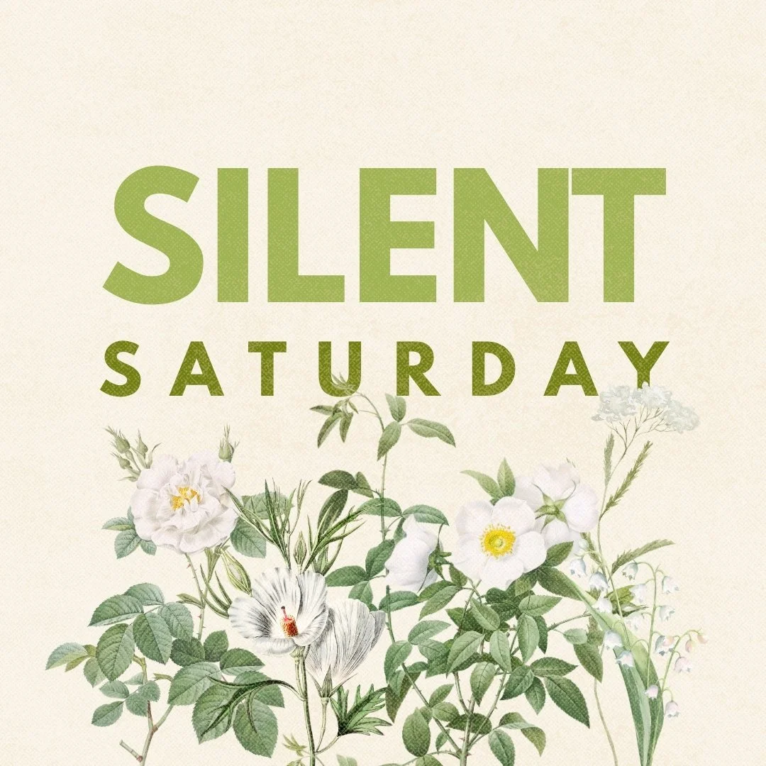 Scripture only notes two things about the Saturday of Holy Week. 

1. The disciples rested because it was the Jewish sabbath. (Luke 23:56b)

2. Pilate sealed the tomb and put guards in front of it, at the request of the religious leaders. (Matthew 27
